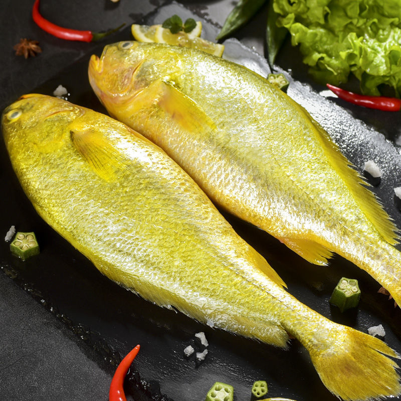 深海野生大黄鱼