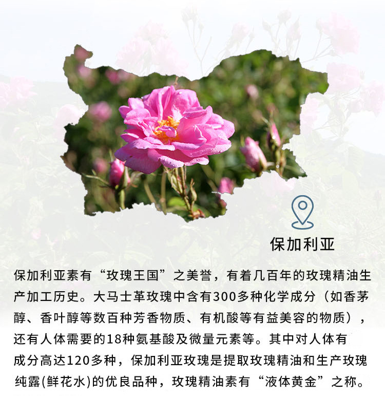 大马士革玫瑰纯露保加利亚进口有机原料批发补水雅琪玫瑰纯露
