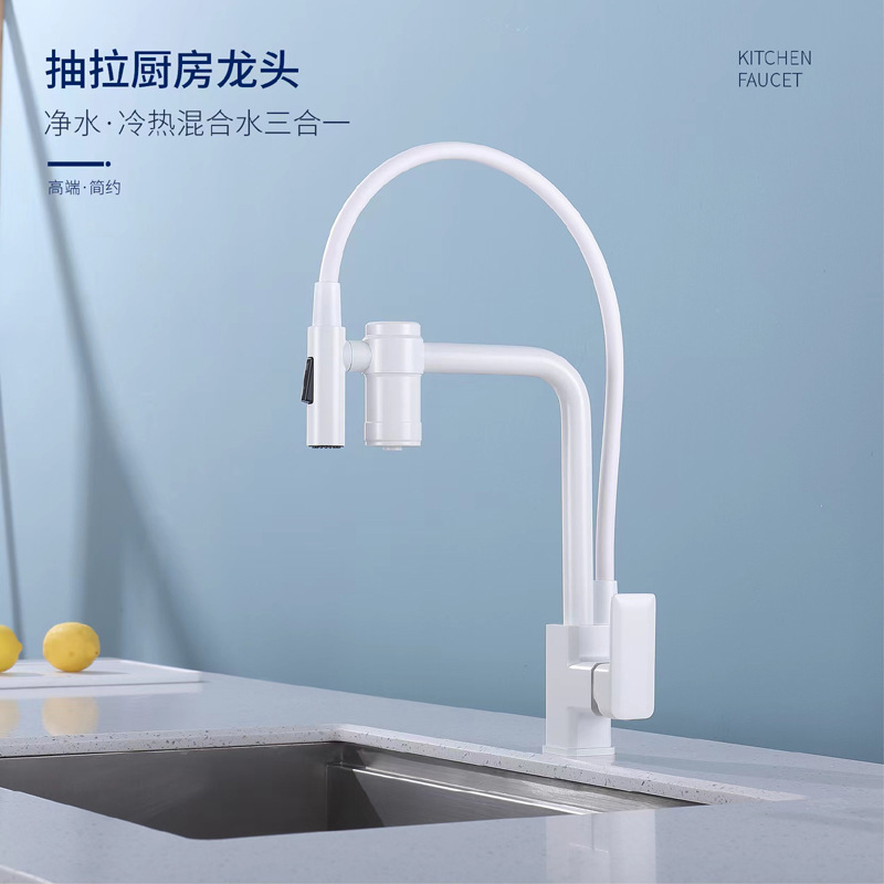 Copper Water Purification Filter Multi-Functional Hot and Cold Kitchen Faucet Pull-out Three-in-One Washing Basin Sink Bathroom Wholesale Water Tap