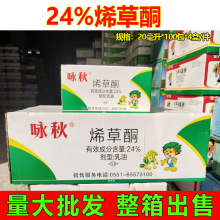 整箱发货 24%烯草酮 稀草铜烯草烔烯草铜酮牛筋草尖叶除草剂批发