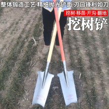 挖树铲子锰钢挖树锹加厚移苗器户外挖土挖沟铁锹断树根工具洛阳铲