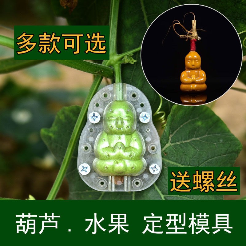 天然葫芦生长定型模具塑料变形模型范制葫芦套模模具葫芦水果模子
