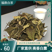 白露三年陈福鼎白茶一级寿眉 正味老树茶老白茶2020年秋白露高香