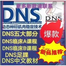 课程肌肉稳定教材配套动态课程康复运动技术全系列视频DNS