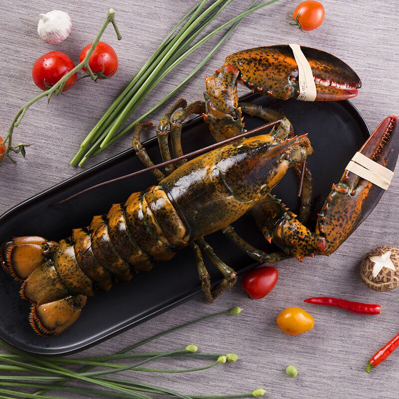 龙虾活动大波龙8斤波士顿2-8斤鲜冻澳龙价厂家批发亚马逊厂家直销