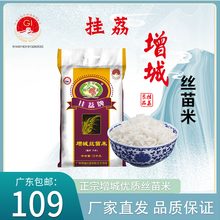 增城丝苗米10KG籼米地标产品20斤新米长粒香软米包邮