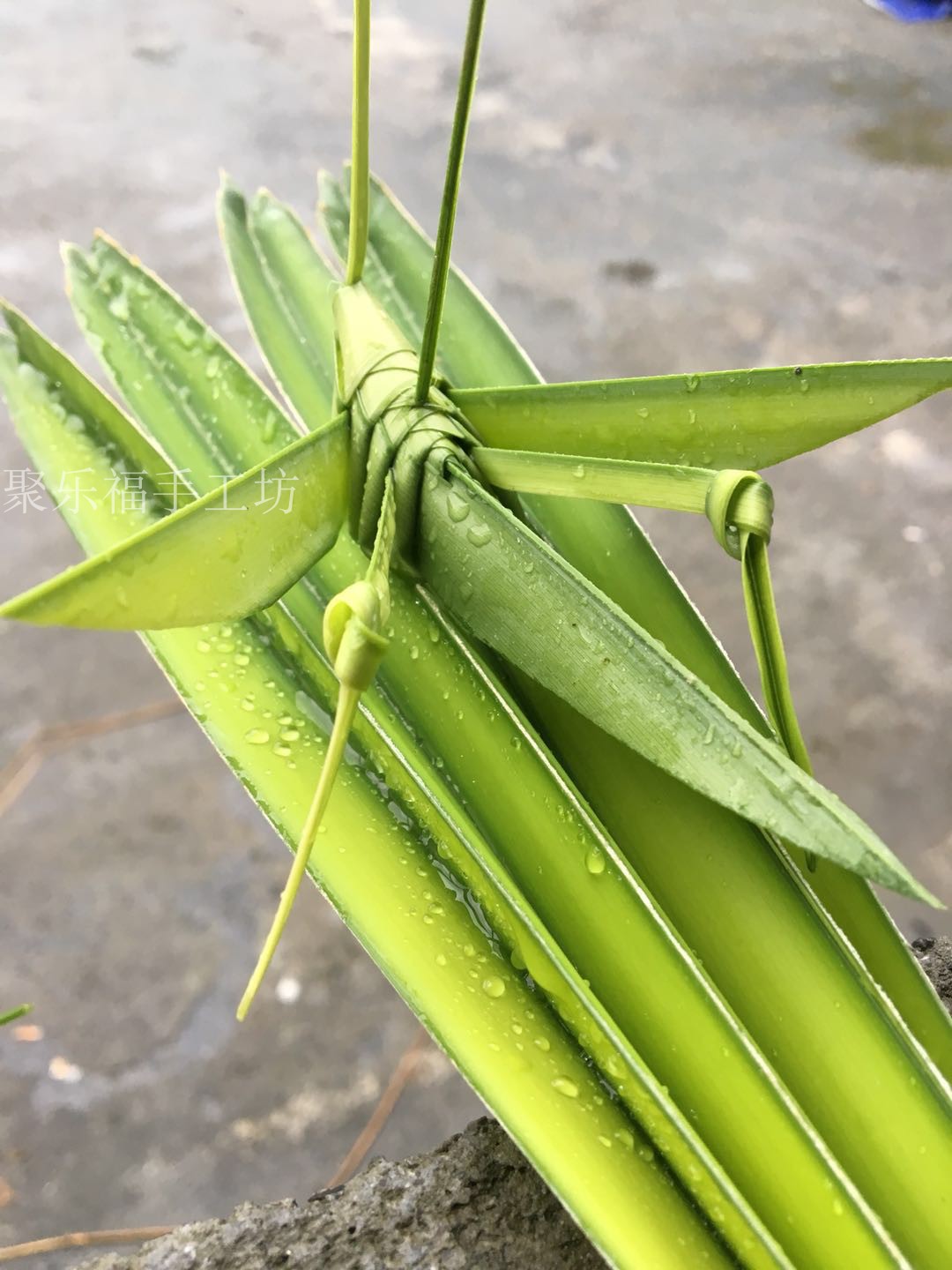 蚂蚱蜢动物土树叶小学生手工制作作业昆虫非遗编织棕编幼儿园