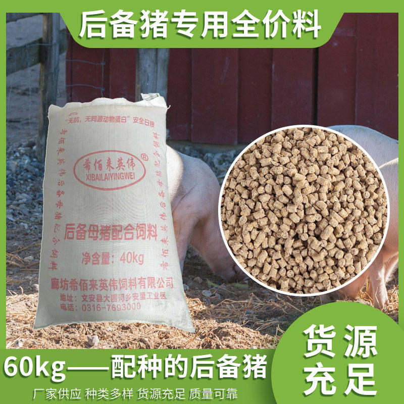 猪饲料后备母猪全价颗粒饲料母猪料产卵多防便秘河北工厂