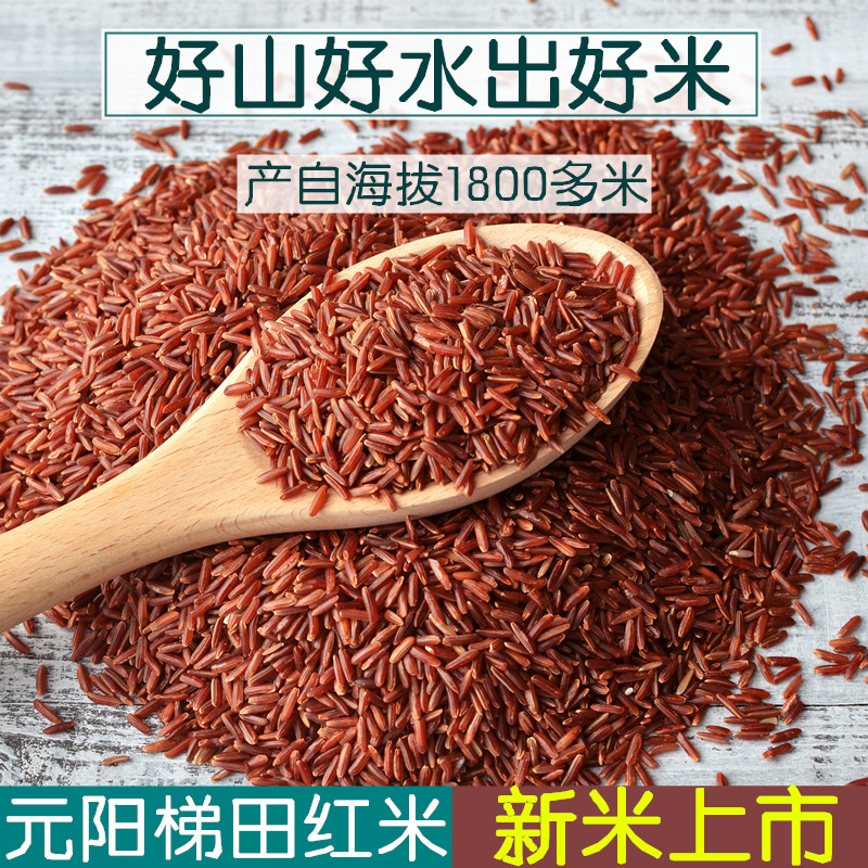 云南哈尼梯田红米新米红米杂粮红糙米大米红色血糯米吃的红米紫米