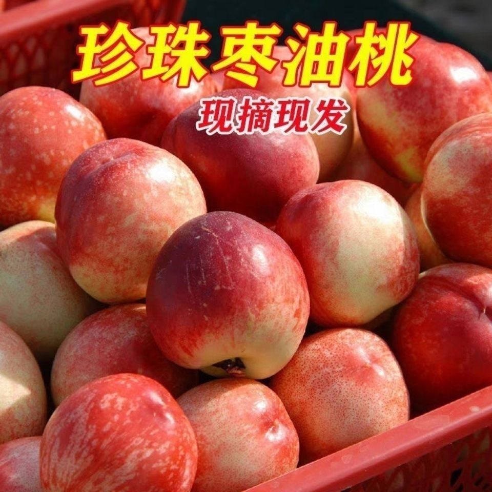 【顺丰包邮】正宗珍珠枣油桃脆甜枣桃离核枣蜜桃新鲜当季水果礼盒