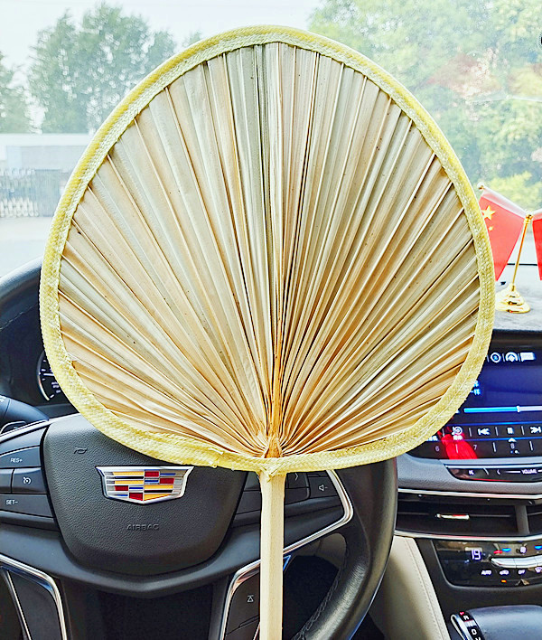 扇子夏天大蒲扇葵扇婴儿老式手摇编织家用芭蕉扇子儿童古风小扇子