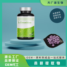 桑葚提取物 桑葚花青素 桑葚固体饮料 桑葚压片糖果 现货 100g/袋