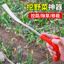 挖野菜的小铲子挖蒜铲子挖土园艺种菜除草工具挖菜挖荠菜移苗