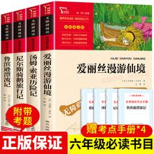 鲁滨逊漂流记原著六年级下册课外书籍必读爱丽丝梦游仙境漫游奇境