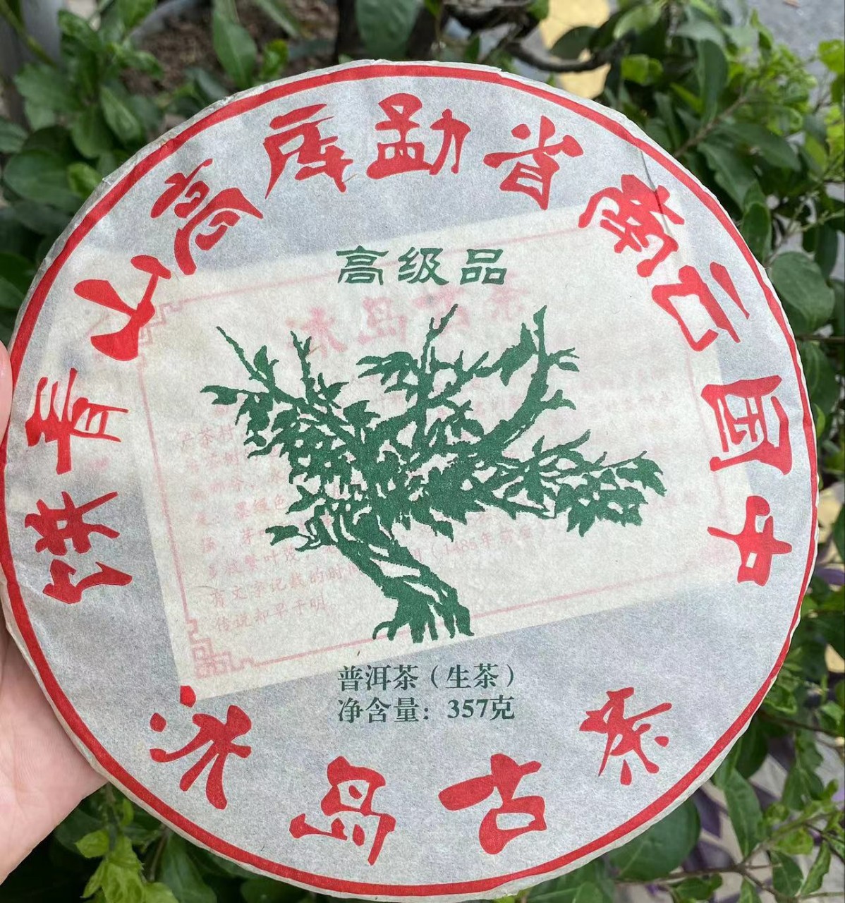2021年冰岛古茶绿大树高山青饼普洱生茶357克-阿里巴巴