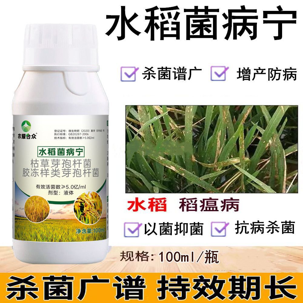 水稻稻瘟病药专用杀菌剂水稻病预防稻曲病纹枯病叶枯白叶病防病药