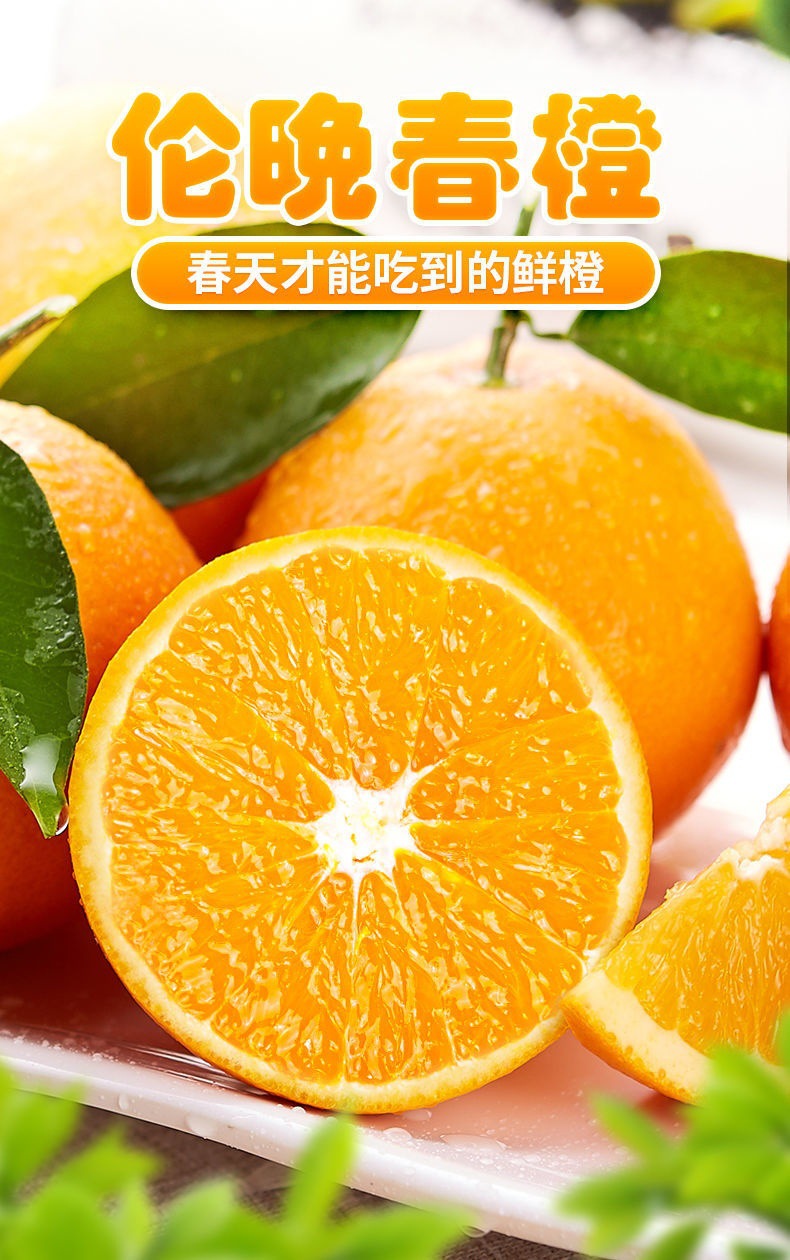 湖北秭归伦晚脐橙橙子手剥橙现摘现发应季水果9斤伦晚一件代发