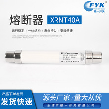 批发互感器熔断管 熔断器XRNT40A限流高压熔断器 高压限流熔断器