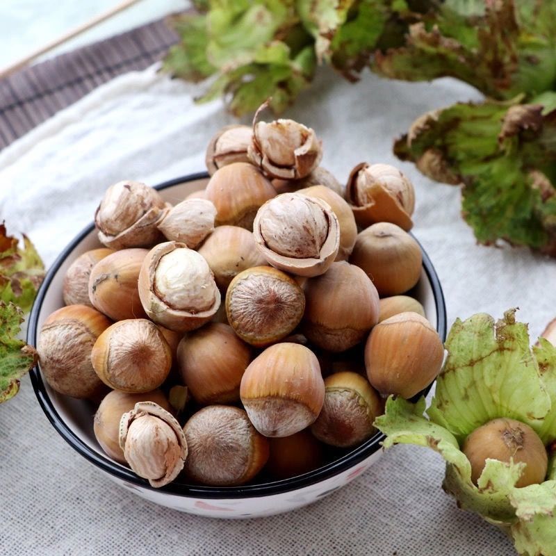 2021年新鲜大榛子东北带皮青皮水仁水瓤生带绿皮新货野生去皮榛子