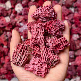 天然红竖管珊瑚化石白珊瑚原石红色颜料鱼缸装饰水族造景红礁石头