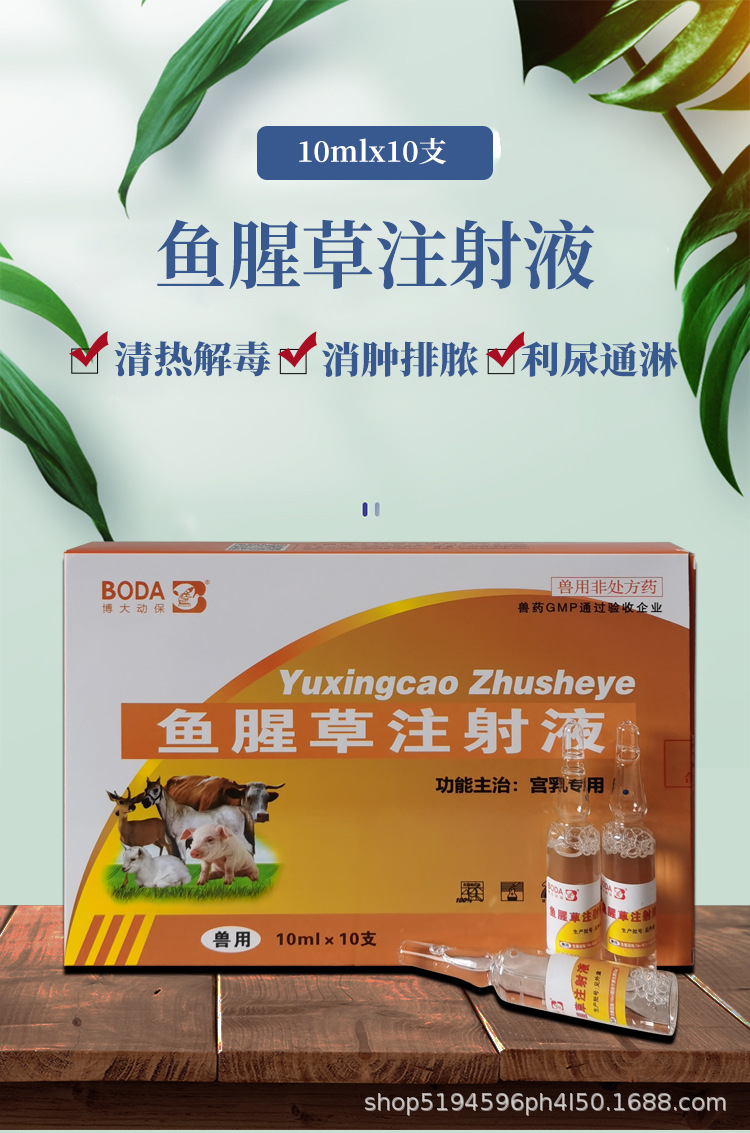 兽药鱼腥草注射液兽用清热解毒利尿通淋猪牛羊犬猫用产后消炎针剂