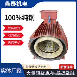 YE3系列防爆型电动机二极能效三相异步电机国标全铜钱