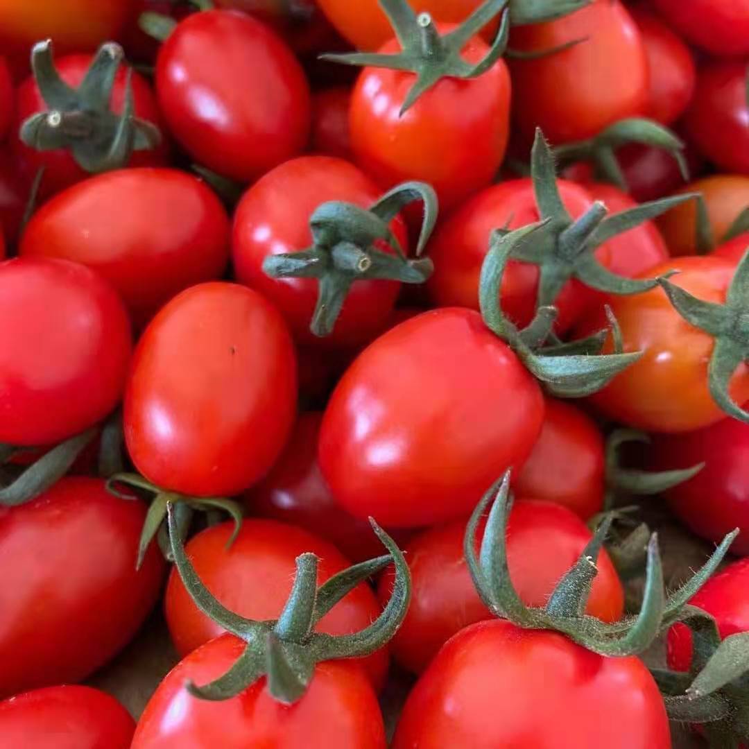 带箱6斤现摘新鲜圣女果小西红柿小番茄孕妇水果蔬菜非千禧