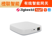 【工厂】涂鸦智能APP ZigBee3.0有线网关智慧主机ZigBee Gateway
