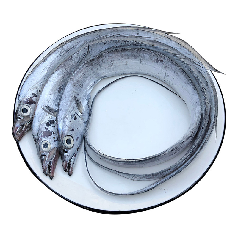 舟山小眼带鱼速冻新鲜刀鱼冷冻整块宽带鱼水产品整条广州黄沙批发