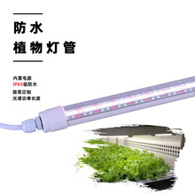 LED防水植物灯 植物生长灯 防潮 多肉花卉叶菜植物 1.2米