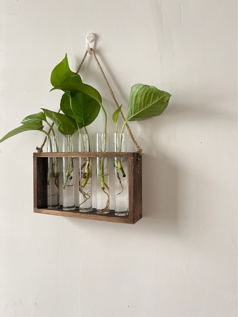 家居装饰玻璃水培花瓶悬挂试管插花器鲜花干花植物挂墙花盆客厅