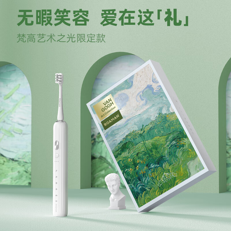 罗曼(roaman) 电动牙刷成人情侣声波震动牙刷男士女士牙刷 e30