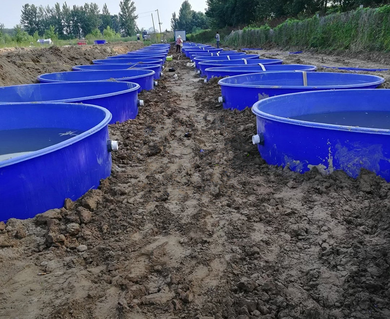 供应带底座水产养殖桶 直径3米泥鳅孵化缸 塑料暂养桶高度1.33米