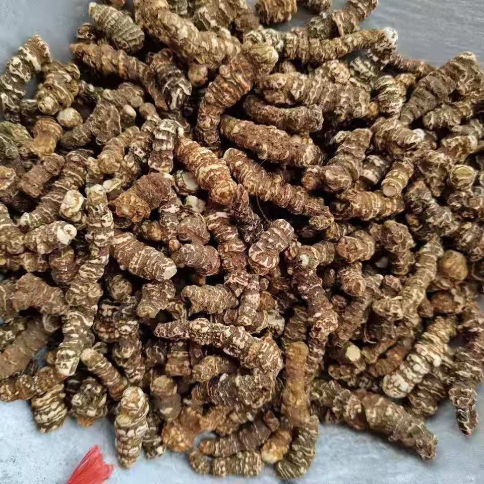 云南重楼个 七叶一枝花 蚤休独角莲干货中药材  100克包邮h6