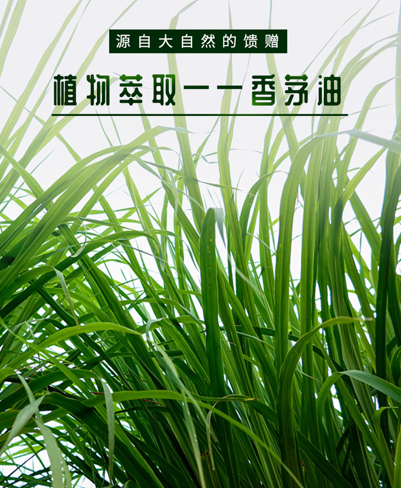 憬椿详情-香茅油_01