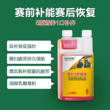 鸽药维B12肝精液 赛前补能赛后恢复 增补营养缓解疲劳500ml/瓶