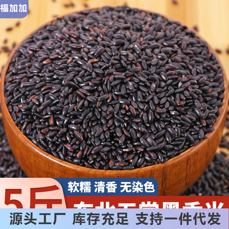 正宗东北无常黑米新米农家杂粮黑香米血糯米饭紫米八宝粥五谷粗粮