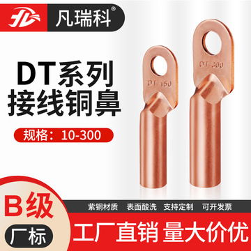 dt线鼻子接线端子铜接头电线电缆接线线耳紫铜铜鼻子
