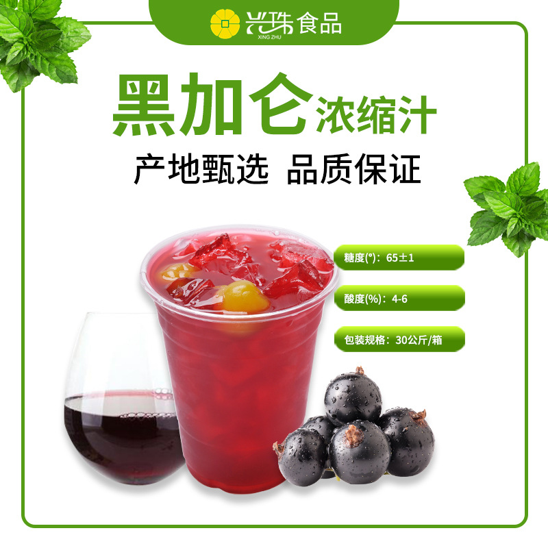批发6倍浓缩黑加仑浓缩汁奶茶果茶果汁饮料商用原料黑加仑浓缩液