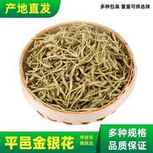 山东平邑金银花茶100g/500g 散装特级干金银花清火