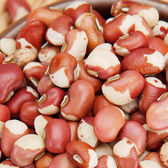 河南花豇豆农家自产江豆花豆子姜豆生豇豆五谷杂粮好煮易熟包邮