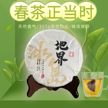 云南七子普洱饼茶2022年临沧冰岛地界生普茶叶357g茶饼整提礼袋装