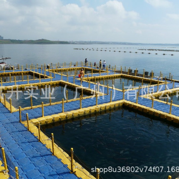 浮筒浮桥水上浮动平台摩托艇游艇快艇停泊码头垂钓网箱塑料浮台