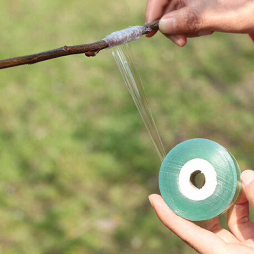 园林嫁接绑带果树苗木包扎带 无需打结自粘性缠绕膜 嫁接膜绑树带