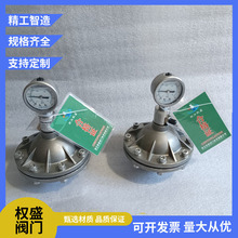 不锈钢PVDF膜片式脉冲阻尼器FPM/PTFE膜片液体水缓冲器气罐均流器