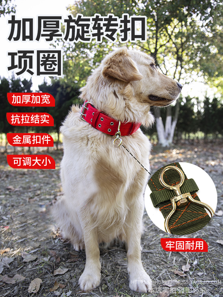 狗圈大型犬狗狗项圈宠物用品颈圈脖圈中型犬金毛德牧拉布拉多脖套
