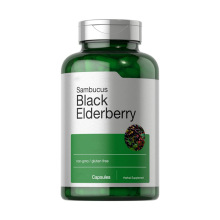 跨境厂家  黑接骨木果胶囊black elderberry capsules 批发供应