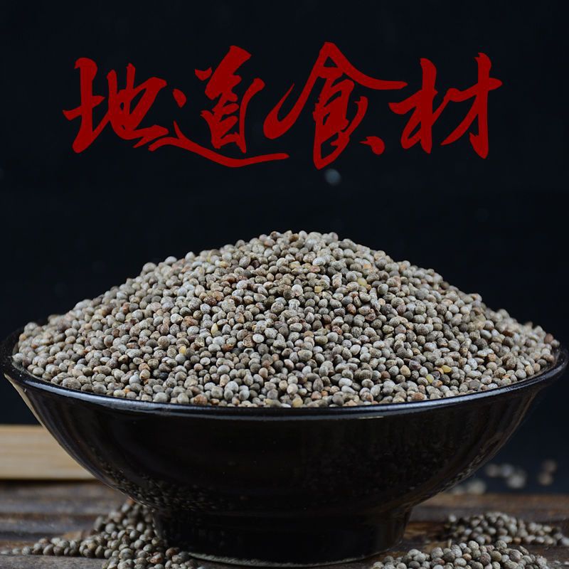 22年贵州酥麻籽精选农家黑苏麻引子油性酥麻乌蒙糖苏麻籽紫苏麻