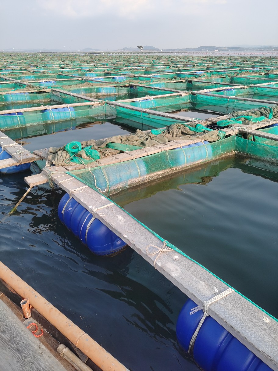 大连海参养殖用网箱网片定做13998450638山东广东养殖网箱