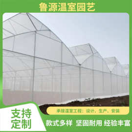 蔬菜瓜果育苗薄膜连栋温室大棚结构简单采光好 连栋薄膜大棚